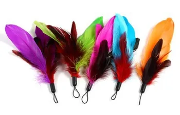 

Free shipping pet Cat cat teaser feather funny cat stick replacement feather cat toy mixed colors 20pcs/lot