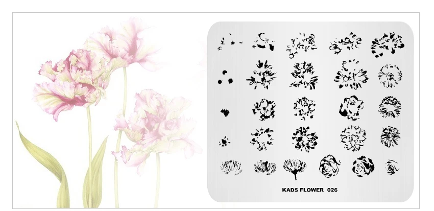 KADS-FLOWER-026_05