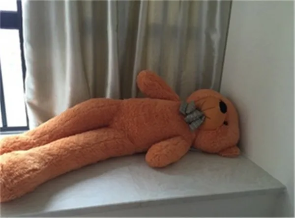 bear09