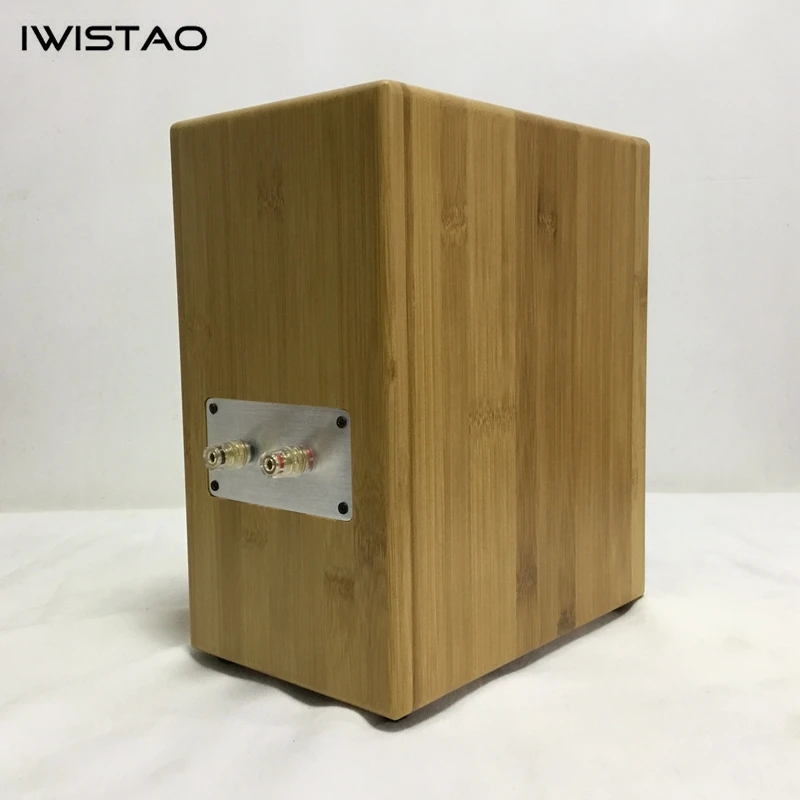 IWISTAO HIFI 4 Inches Full Range Labyrinth Speaker