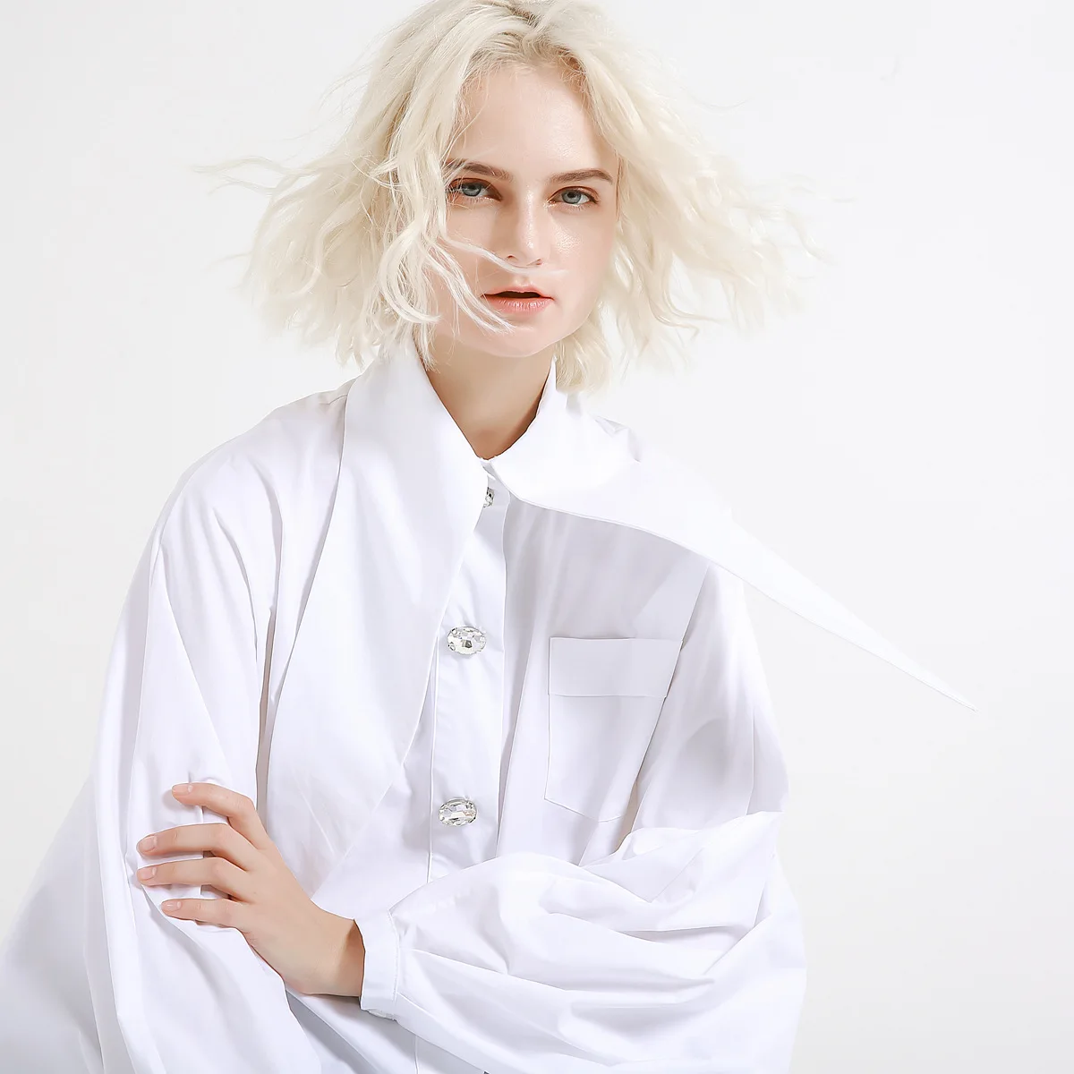 Women Tops 2019 New   Casual Broadcloth Full Sleeve Appliques Solid Turn-down Collar Women Blouses & Shirts S-l