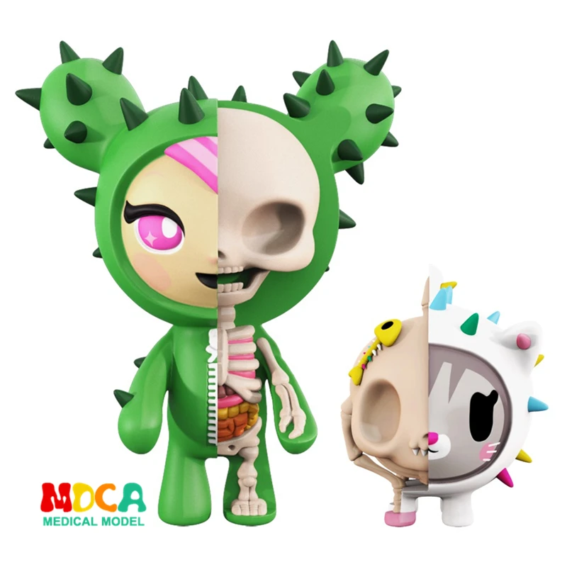 Cacti Mighty 4D XXRAY master Mighty Jaxx Jason Freeny anatomy Cartoon ornament