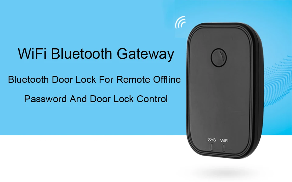 Electronic Lock
