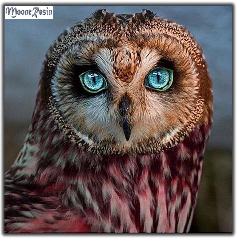 

MOONCRESIN Diy Diamond Embroidery Red Owl Animals Diamond Mosaic Full Diamond Painting Cross Stitch Home Decoration Needlework