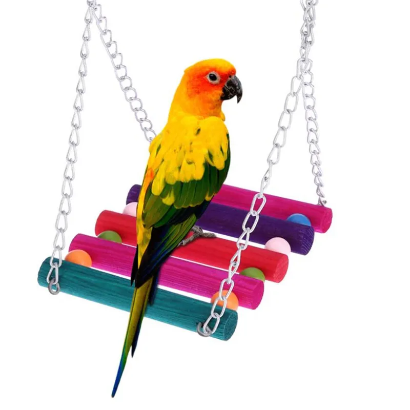 pet birds for sale
