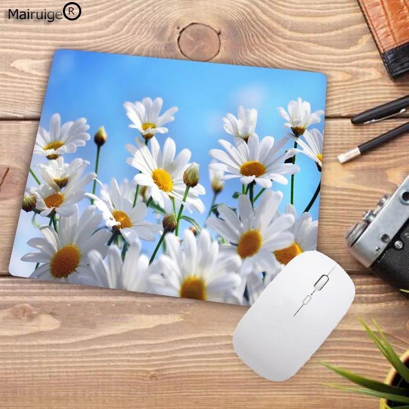364beautiful-daisy-background-3360-WTG2001218