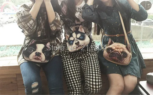 cute dog pack.jpg