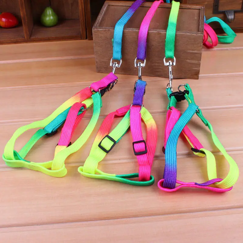 Pet Small Dog Puppy Cat Rabbit Kitten Nylon Harness Collar Leash Lead Adjustable 1 PCS