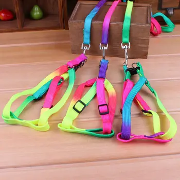 1 PCS Adjustable Rainbow color Pet Dog Leash Small Puppy Cat Rabbit Kitten Nylon Leash Harness Collar Lead