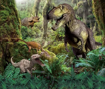 

Dinosaurs Series Photography Backdground Triceratops Tyrannosaurus Rex And Other Dinosours In The Forest Backdrop For Studios