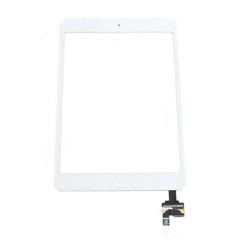 ipad mini (1)