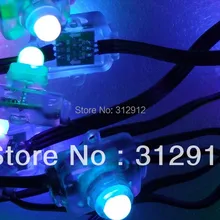 50 шт. вход DC5V WS2811 светодиодная точечная лампа, со всеми черный провод, IP68 Номинальное