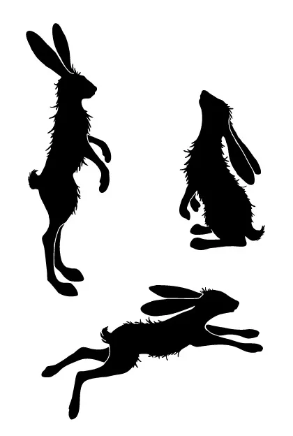 

Rabbit Transparent Clear Stamps for DIY Scrapbooking/Card Making/Kids Christmas Fun Decoration Supplies