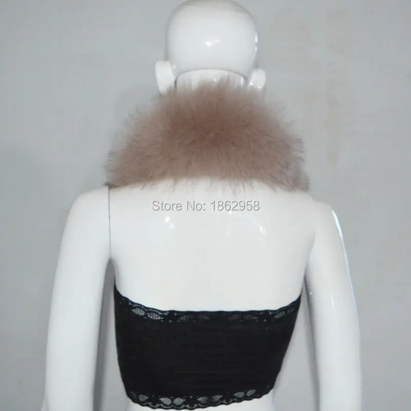 SJ083 (1)