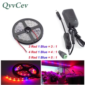 

Qvvcev Led Strip Growing Plant Light 2M 3M 5M DC12V 2A/3A Red Blue lighting Waterproof SMD5050 Grow Lights Power Adapter+Switch