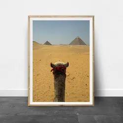 Египетские пирамиды стены книги по искусству верблюд плакатный принт, верблюд Современная фотография Картина на холсте жизни комнатное