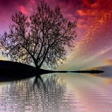 Auburn закат Дерево diy картина из бисера, пейзаж на заказ полный квадратный олень Алмазная вышивка пейзаж Парусник поезд деревенский