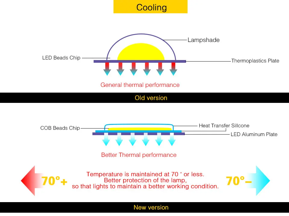 led chip (13)