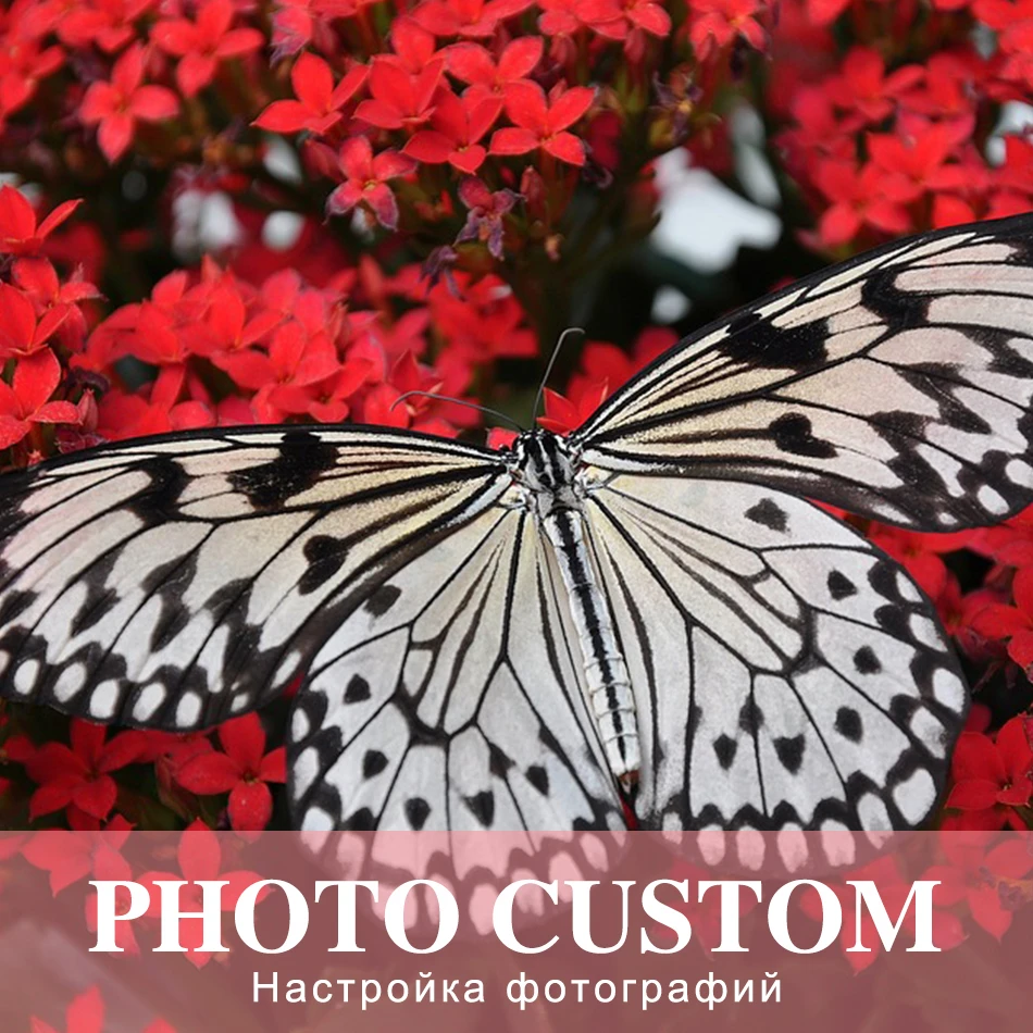 

SaShiKo Animals Photo Custom Diamond Painting Full Square Picture of Rhinestone DIY Diamond Mosaic Diamond Embroidery Sale