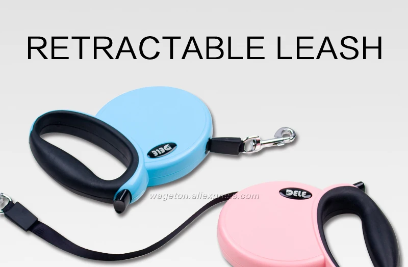 1 dog leash 