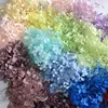 4-4.5g/Lot High Quality Natural Fresh Preserved Flowers Dried Hydrangea Flower Head For DIY Real Eternal Life Flowers Material ► Photo 1/6