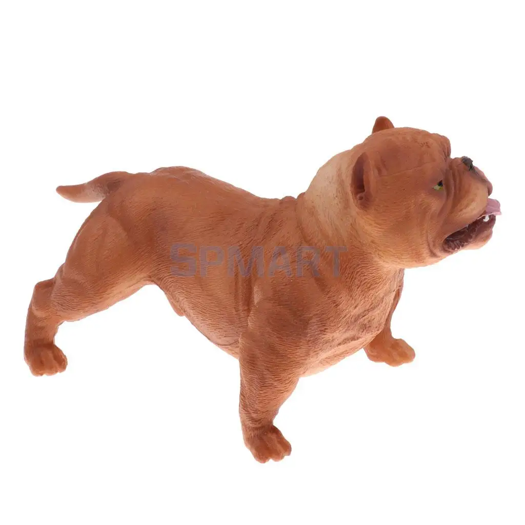Simulation Wildlife Farm Pet Animal Model Action Figures Figurine Kid Educational Science Nature Toy Home Collectible Decoration