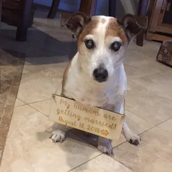 

Pet Sign for my humans are getting married Engagement Photography,wood signs, wedding props,Dog wedding save the date sign,