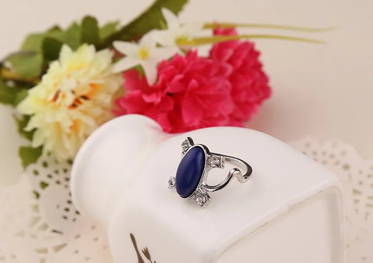 4133016389_497573154