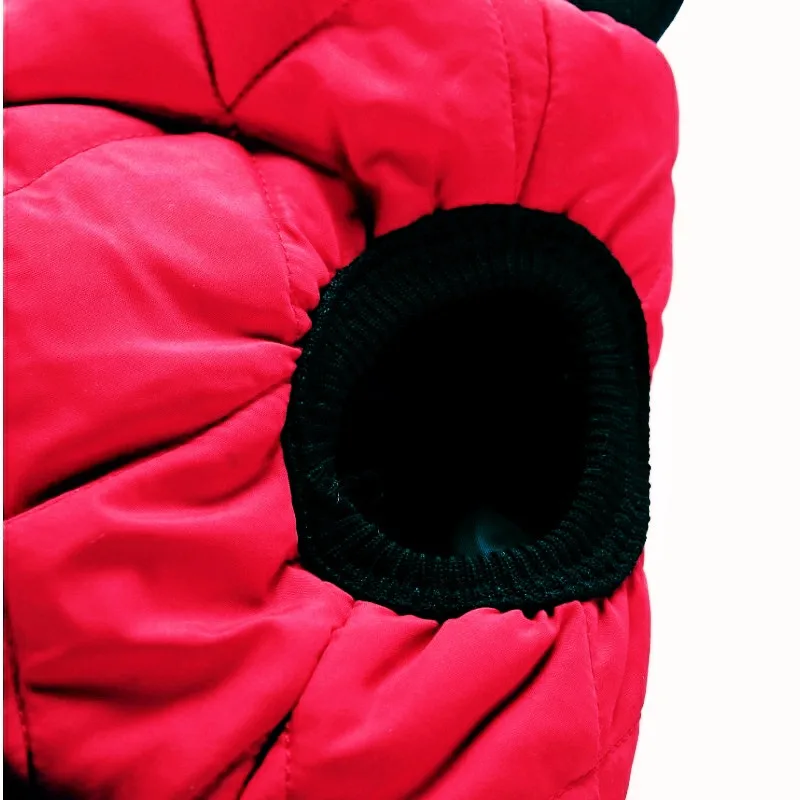 Warm Pet Dog Clothes Winter Dog Clothes For Small Medium Dogs Clothing Warm Coats Jackets Yorkies Chihuahua Clothes1