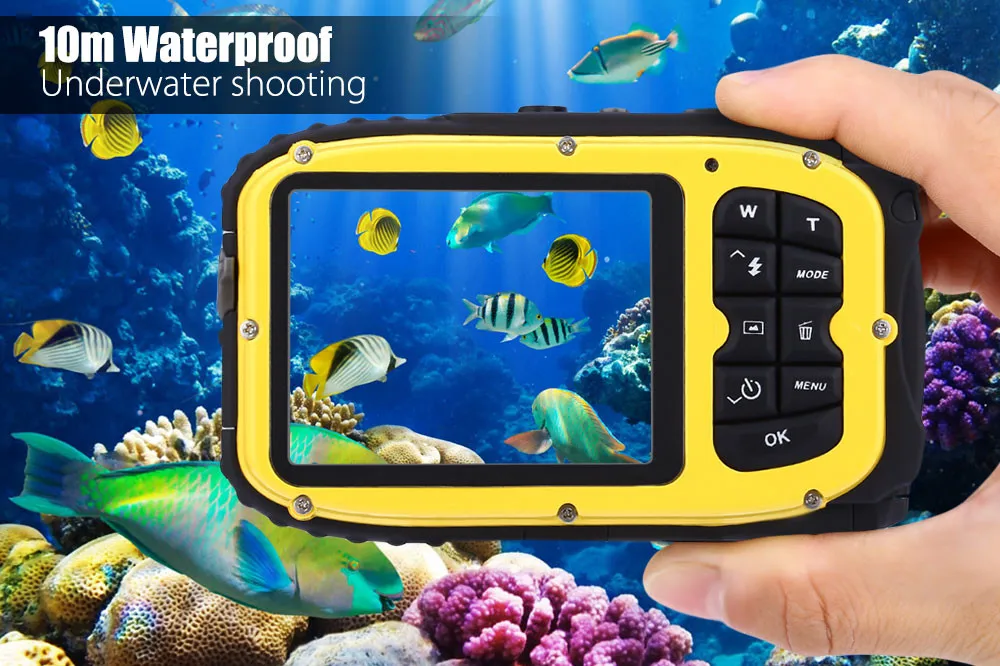 HTB1T8CaOXXXXXa9XVXXq6xXFXXXD