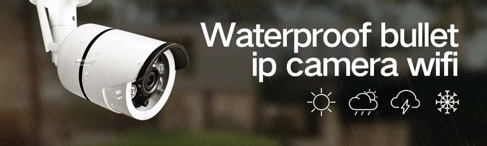 ip camera (1)