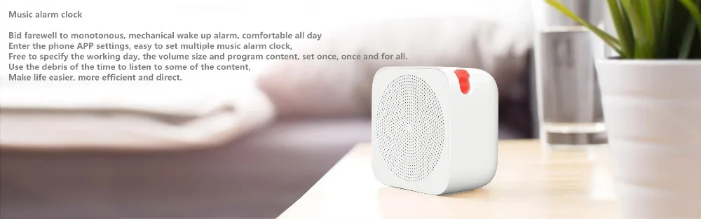 radiop-03.webp