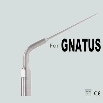 

ED4, GNATUS ENDODONTIC TIP, Removal of filling and foreign material. CLEAN CANAL.