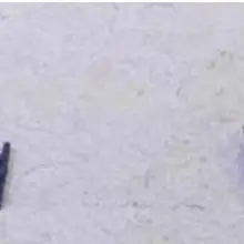 50 шт./партия для ipad 3/4 Кнопка Домой flex fpc разъем зажим разъем 6pin разъем давление контакт на материнскую плату