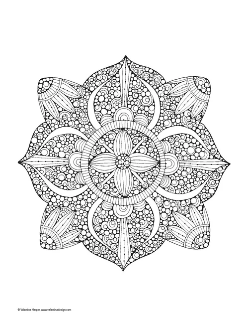 Libro de colorear creativo de fantasía Mandalas para adultos, libros de  dibujo de pintura para aliviar