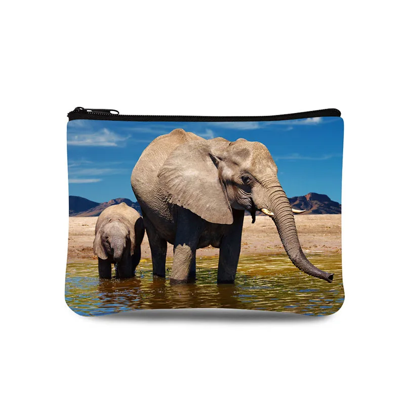 

animal picture Printing Ultra Light Brand Women Purse Wallets Coin Purse Mini Bags Zipper Pocket For Girls Waterproof Small Bag