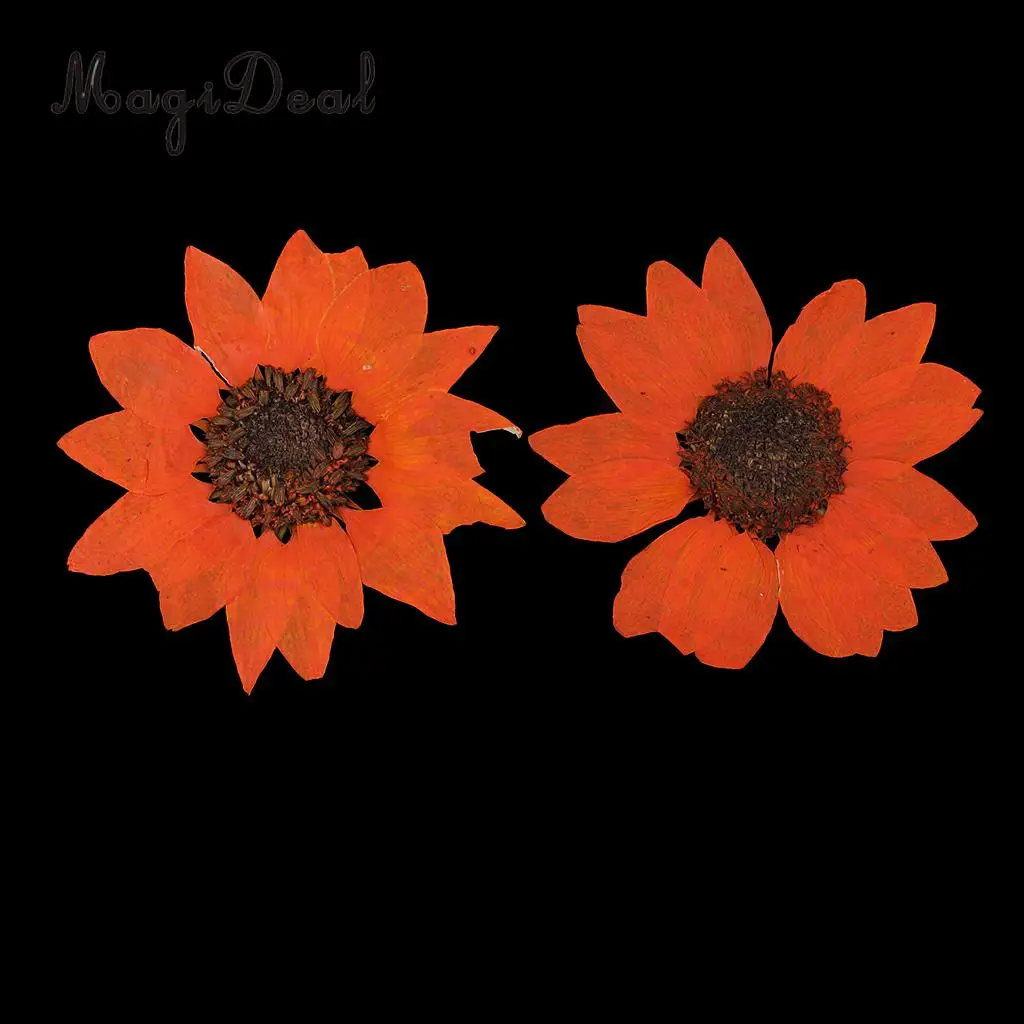 6 Pieces Pressed Natural Real Dried Flowers Sunflower for DIY Resin Ornament Craft Christmas Xmas Card Making Decoration