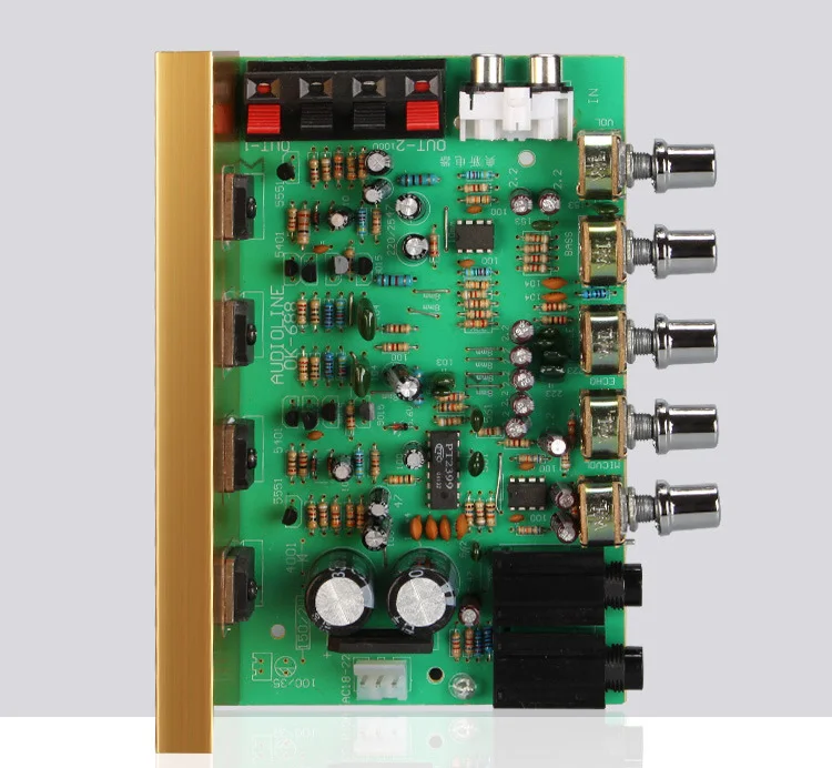 2x100 Вт стерео большой мощности караоке усилитель доска эхо Регулировка поддержка 2 6,5 мм микрофон домашний аудио усилитель