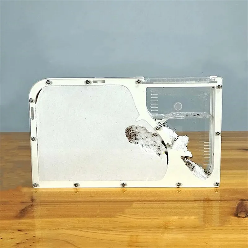 

Big Formicarium Ant Nest Acrylic Insect ants house Ecological Workshop Ant Farm