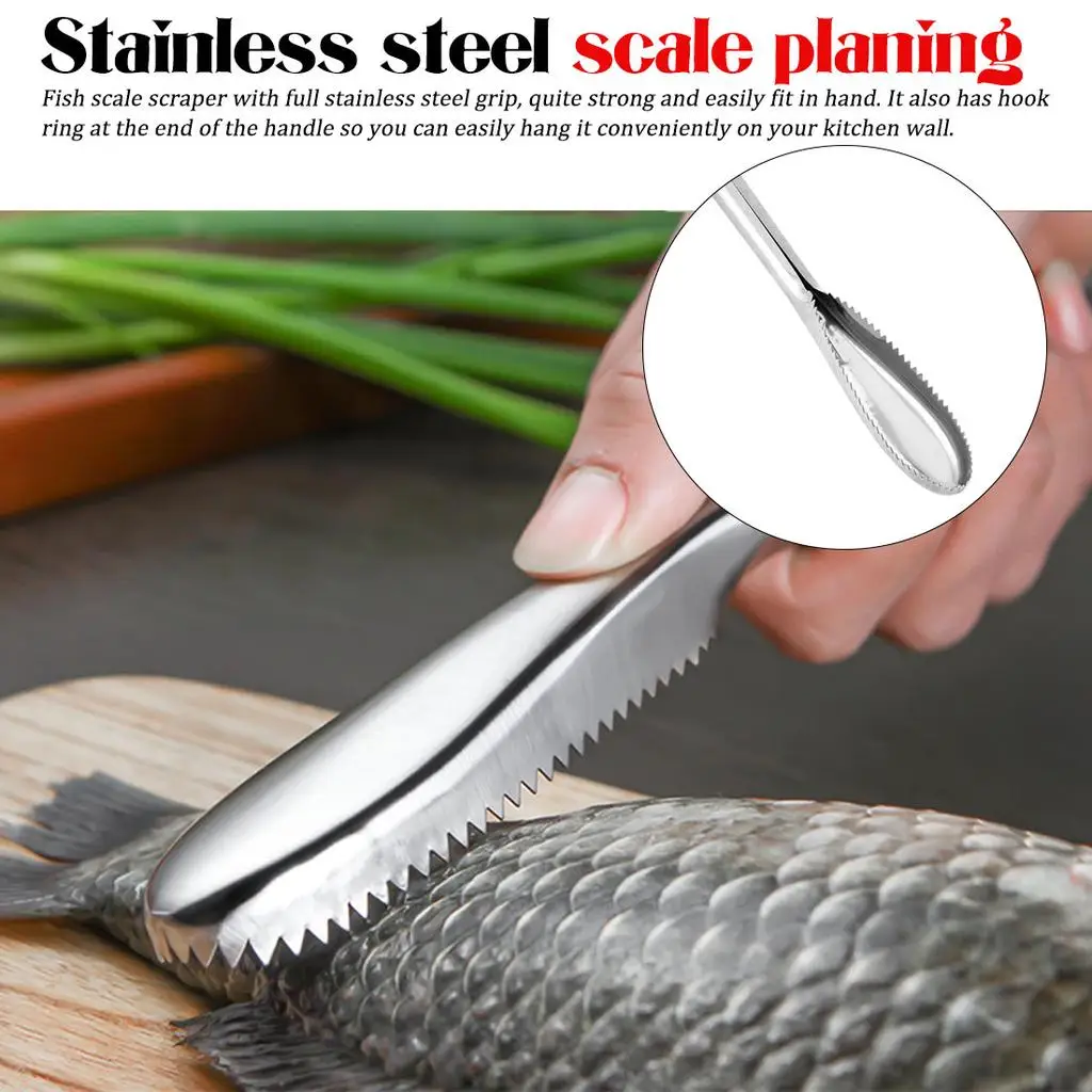 Fish Skin Brush Scraping Fishing Scale Brush Graters Fast Remove Fish knife Cleaning Peeler Scaler Scraper(Color: Random