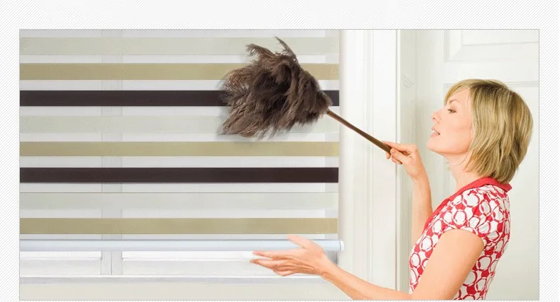 HTB1yWz7LFXXXXbTXFXXq6xXFXXXk