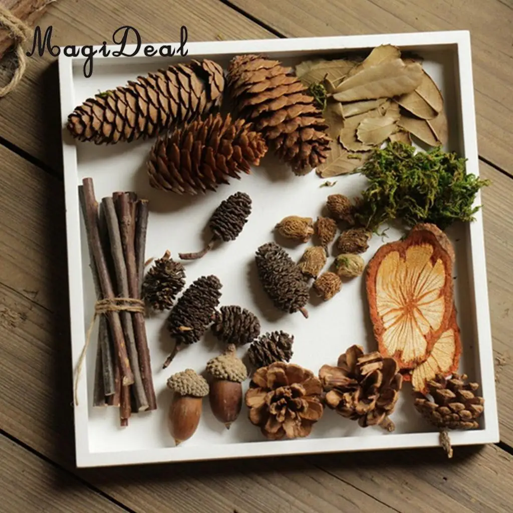 40Pcs Small Natural Pine Cones Acorns In Bulk Dried Flowers Table Ornament for Home Christmas Decoration DIY Craft