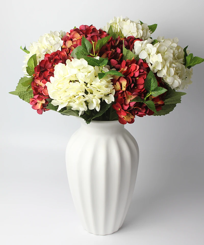 5white5red