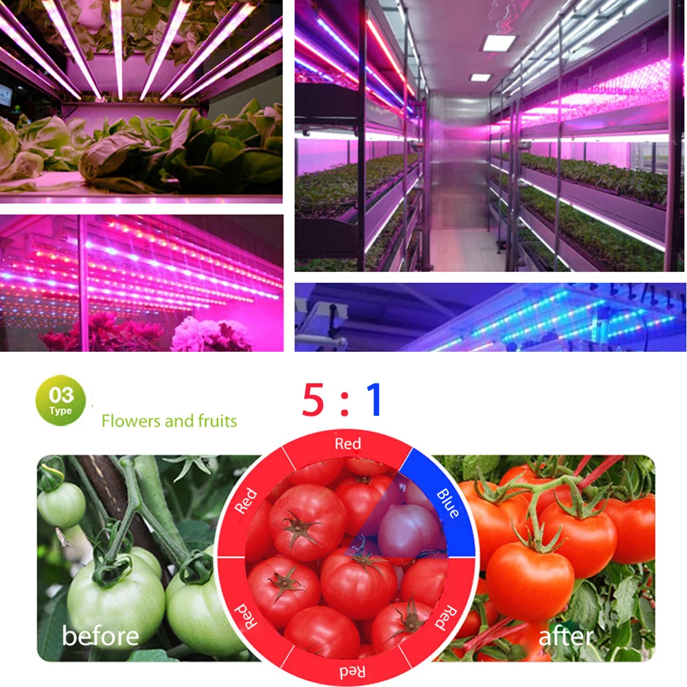 Полный спектр LED фитолампы растут огни SMD 5050 красный синий 3:1 5:1 + переключатель