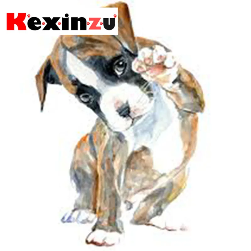images_