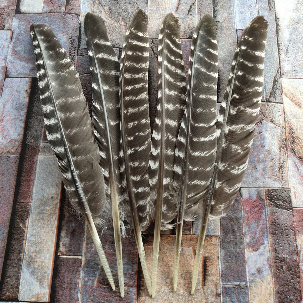 Wholesale unique wild Turkey tail feathers 3-12 inches 8-30 cm 10-100pcs Wholesale unique wild Turkey tail feathers 3-12 inches 8-30 cm 10-100pcs