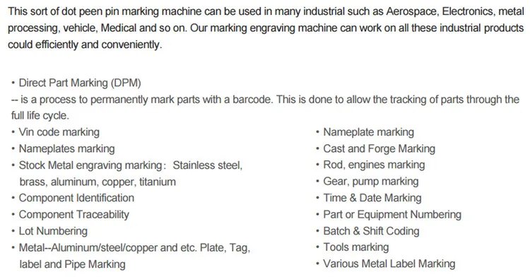 Industrial Digital Metalized Labels Auto Parts Dot Peen Marking Machine (2)