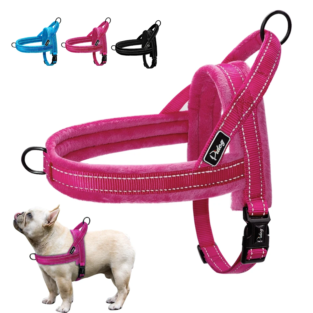Grigio Trilly tutti Brilli Maite Maglione per Cani con Stampa Glitterata S Grigio Trilly tutti Brilli Maite Maglione per Cani con Stampa Glitterata S