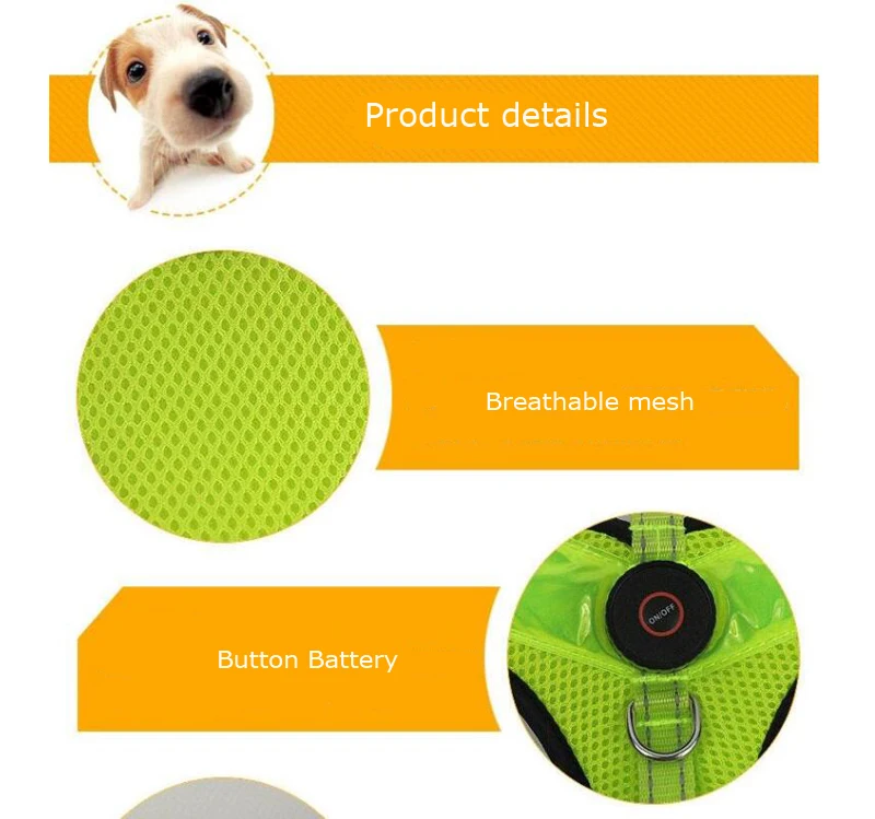 dog supplies  (3)