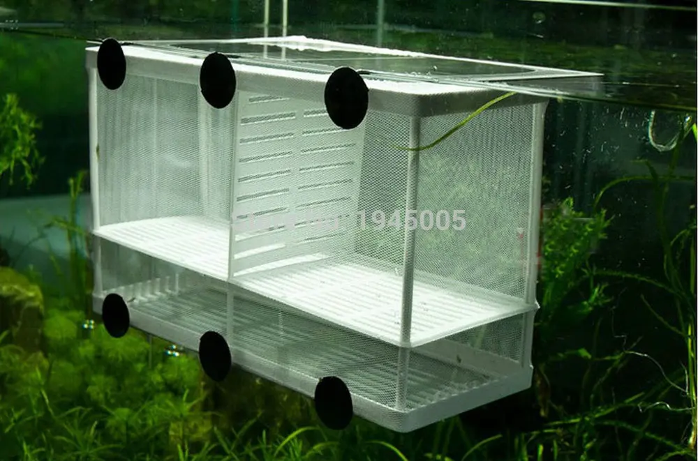 Fish Breeding Net Boxes Aquarium Hatchery Incubator Isolation Box Young